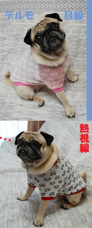 まんじゅーさんの人気柄！パンダシャツ