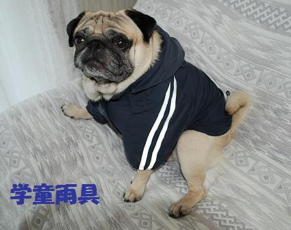 9689さんでは、学童雨具！