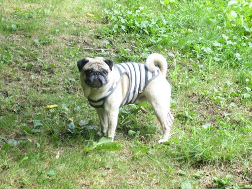 うーん、やっぱチッチはかわええな～