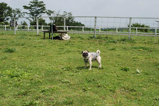 わーい！久しぶりに広いじょ～