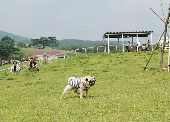 大空の下、気持ちええ～