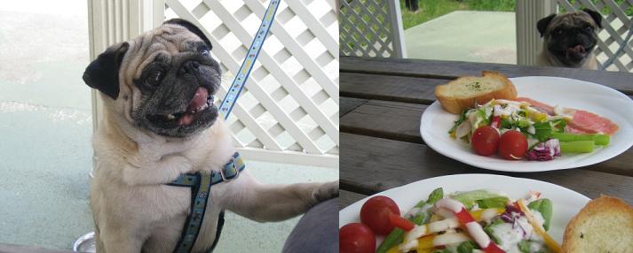 かあたん、もっとチョウダイ！