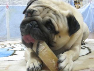 なんか変な顔になってるよ～(-