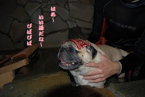 はあ、ええ湯加減じゃ～