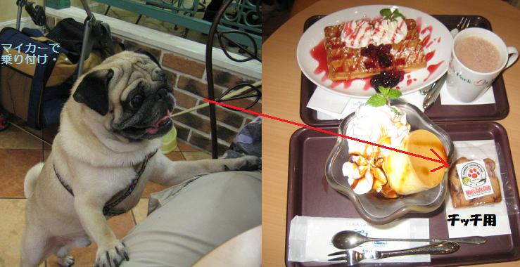 ボクすごく頑張ったよね？かあたん・・・