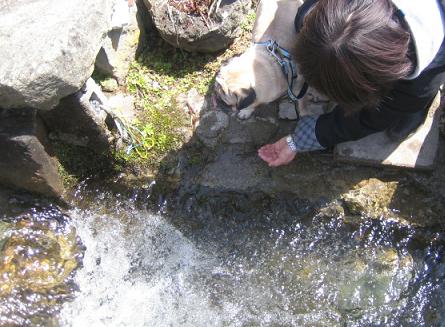 勢いにおされるチッチ