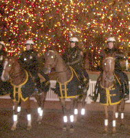 Police Horses@Tree