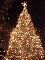 Tree@Bryant Park