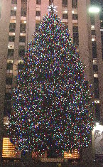 Tree@Rockefeller