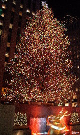 Rockefeller Tree2