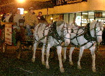 Horse Carriage