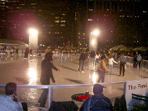 Skating Rink