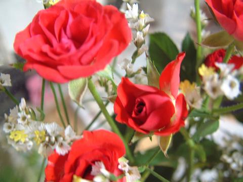 060911 flower gift.JPG