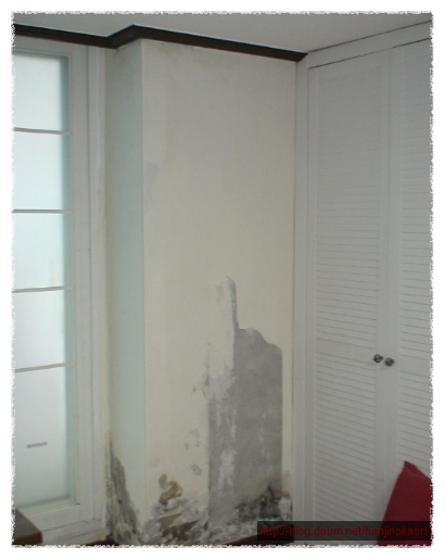 リビングの壁リフォーム前