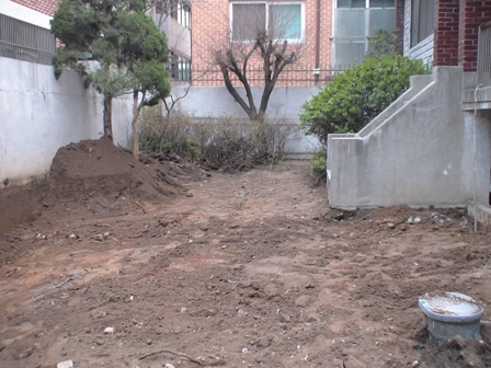 グリーンパーキング5