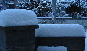 ２／３　雪A