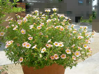 2005-08-16 01:28:03