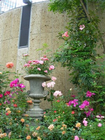 花フェスタ記念公園