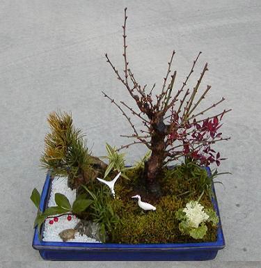 2005/12/15・松竹梅の寄せ植え完成作品