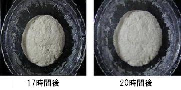 柿酵母おからパン2(ストレート法)