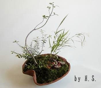 H.S.さん・風を感じさせる寄せ植え