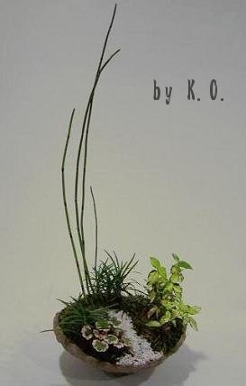 K.O.さんの寄せ植え