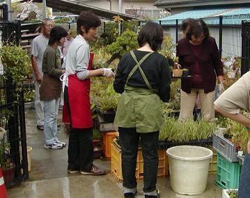 婦人会・寄せ植え講習会４