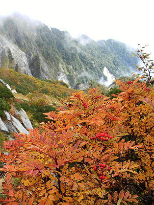 南駒ヶ岳と越百山_紅葉