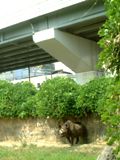 天王寺動物園