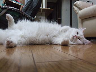 goemon
