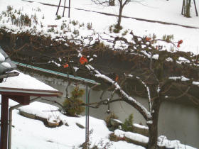 kkai