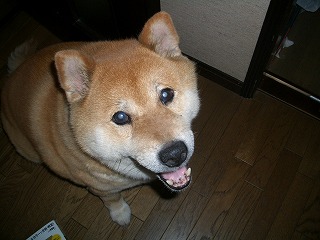 runnrunn