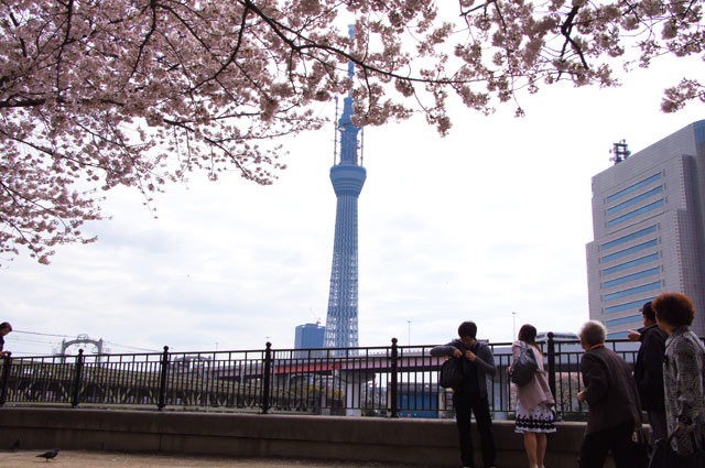 スカイツリー