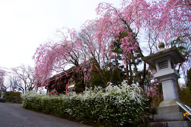 平和公園