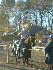 Renaissance Festival004