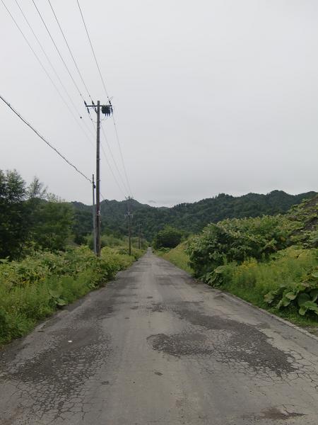 画像 287.jpg