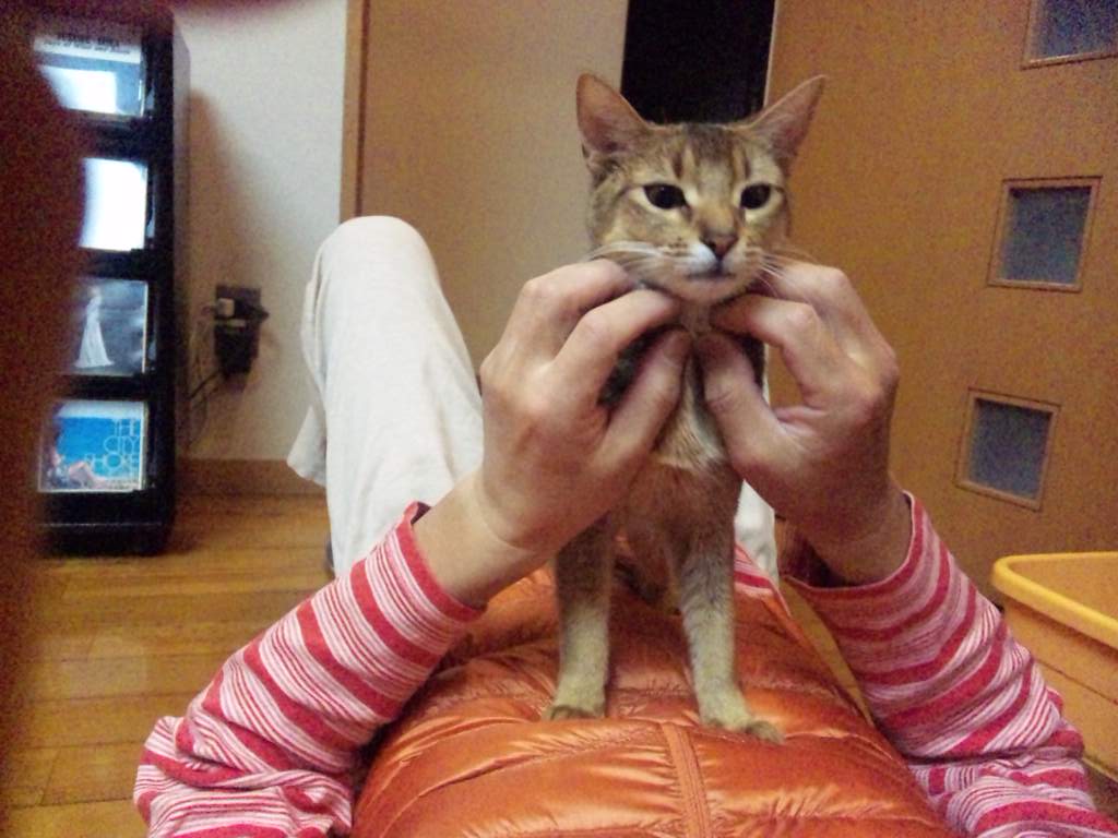 本日のロマネちゃん