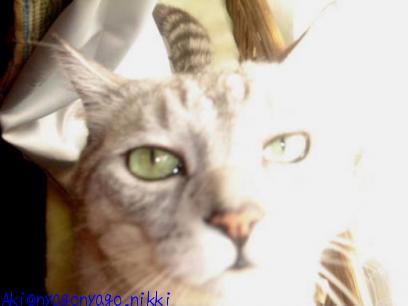 これからもよろしくね