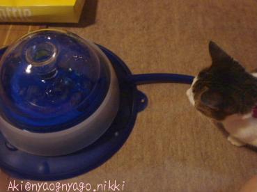 そぉっと見てみる