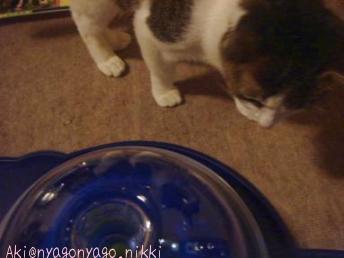 回り込んでみる