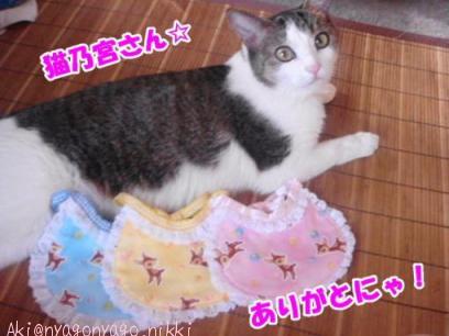 猫乃宮さんありがとにゃ