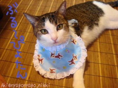 ぶる～ぴよたん