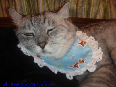 やっぱり迷惑そう