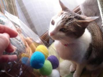 あそんでくれるの？