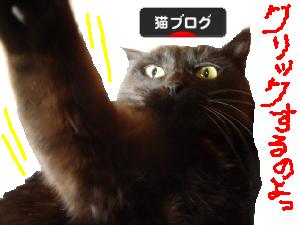 ランキング・ナナコ１