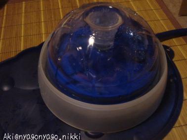 出たーーーーー