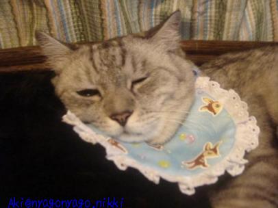 このまま寝るらしい