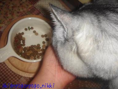 手から食べたい♪