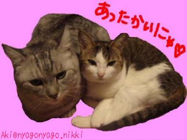 あったかいにゃ