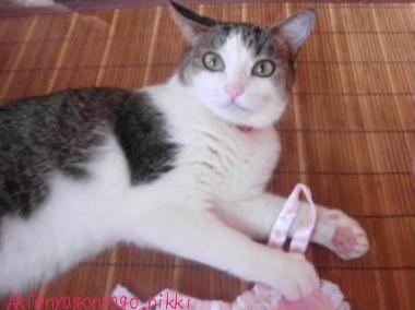 ぴんくがおきにいり